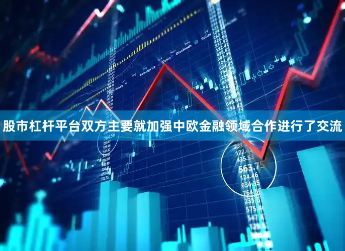 股市杠杆平台双方主要就加强中欧金融领域合作进行了交流